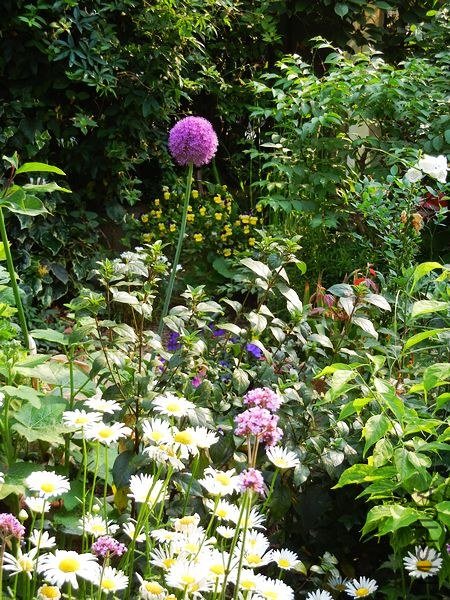 DSCN1409.jpg