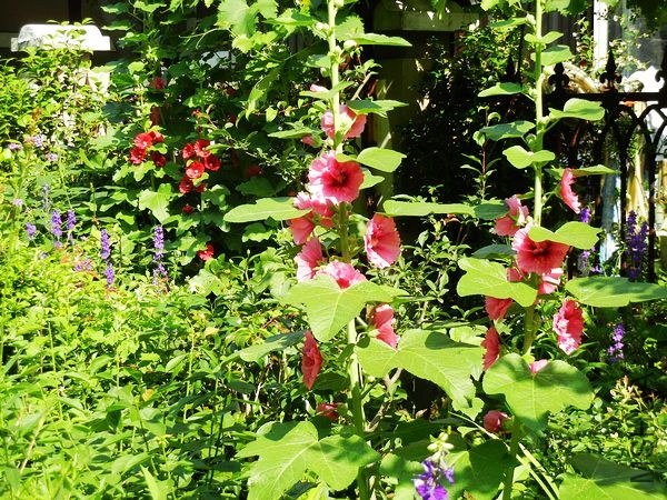 DSCN8940.jpg