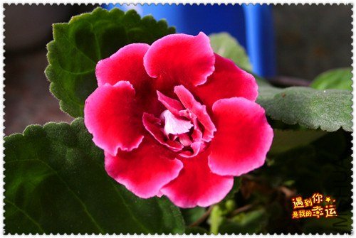 ��Ƭ 078_����.jpg