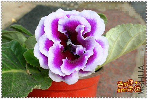 ��Ƭ 080_����.jpg