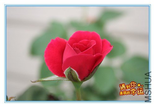 ��Ƭ 070_����.jpg