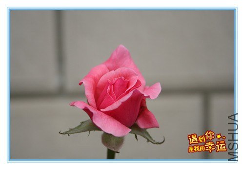 ��Ƭ 072_����.jpg