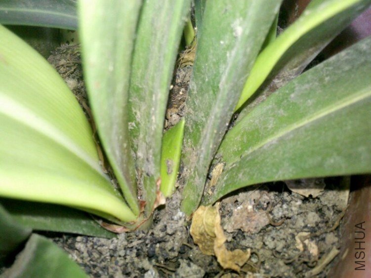 C360_2012-11-19-12-23-07-1.jpg