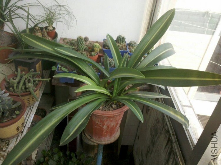 C360_2012-11-19-12-22-46-1.jpg