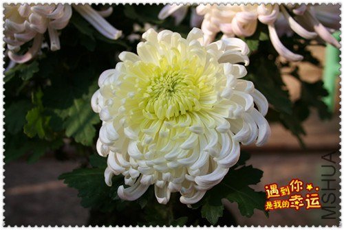 ��Ƭ 003_����.jpg