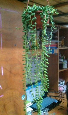 IMG_20121107_224348.jpg