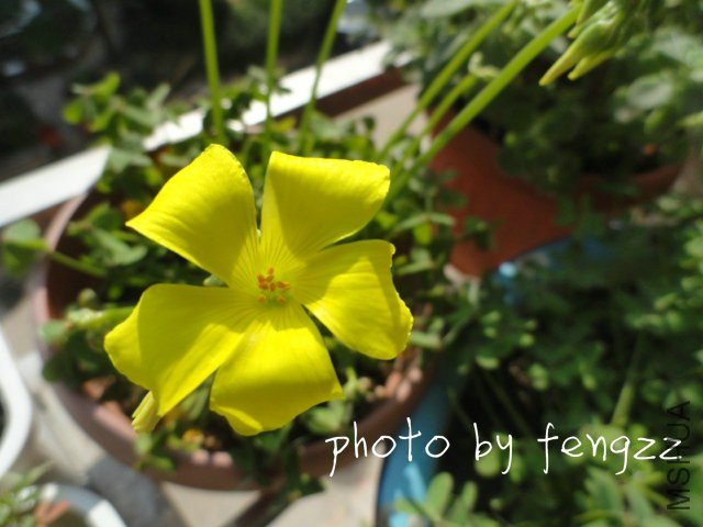 ����~~��һ��