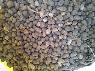 20121116_153513.jpg