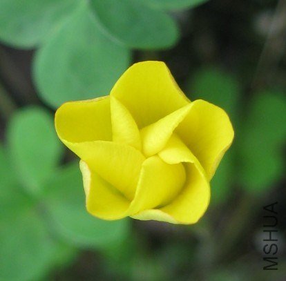 QQ��ͼ20121119211340.jpg