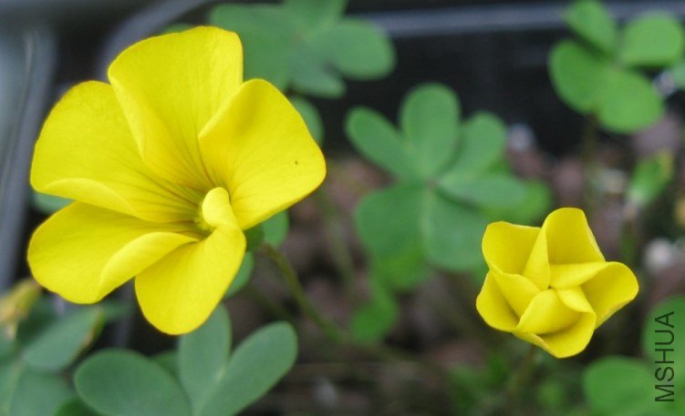 QQ��ͼ20121119211352.jpg