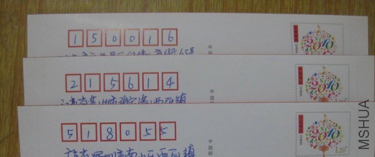 1120ţ.jpg