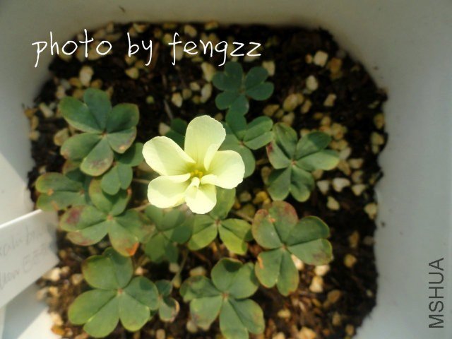 ������ ��ϲ��~~