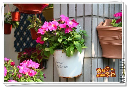 ��Ƭ 028_����.jpg