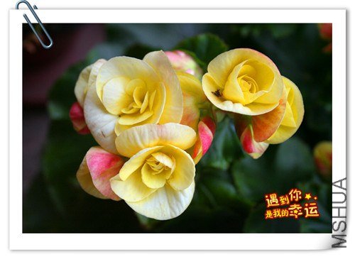 ��Ƭ 063_��ת_����.jpg