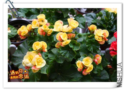 ��Ƭ 059_����.jpg