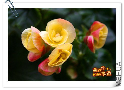 ��Ƭ 061_����.jpg