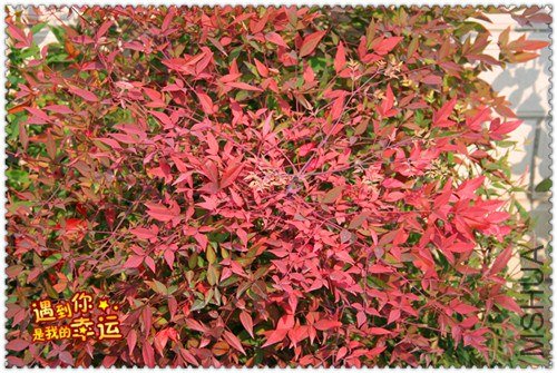 ��Ƭ 035_����.jpg