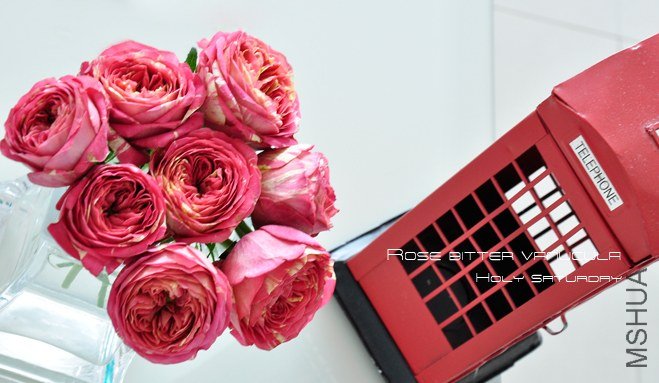 holy saturdayROSE Bitter vanucula1.jpg