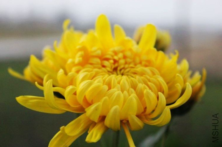 nEO_IMG_IMG_3911.jpg