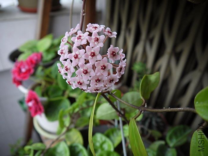 �����Ļ������������е������