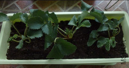 QQ��ͼ20121121103109.jpg