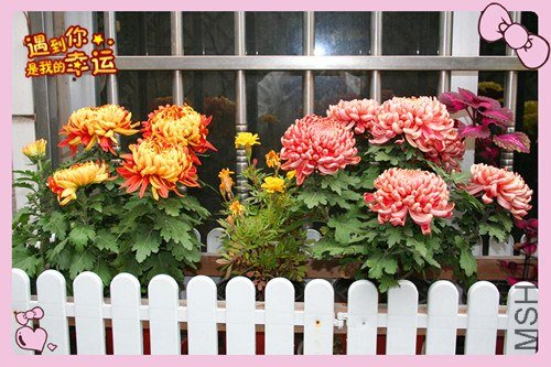 ��Ƭ 89_����.jpg