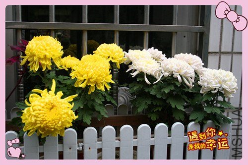 ��Ƭ 088_����.jpg