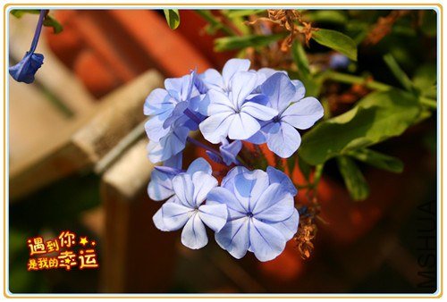 ��Ƭ 035_��ת_����.jpg