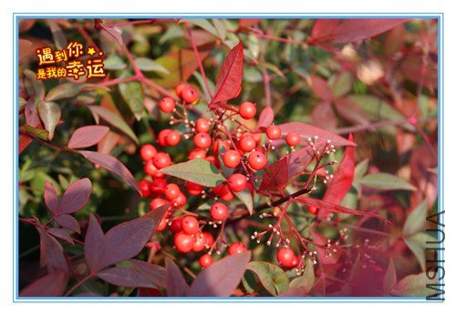 ��Ƭ 032_����.jpg