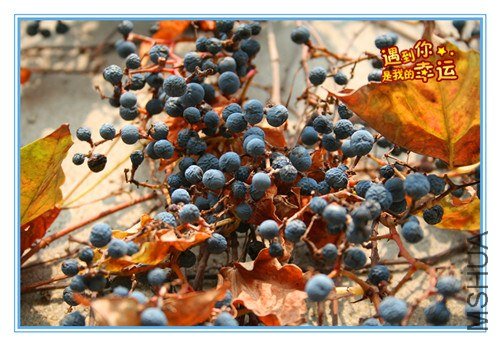 ��Ƭ 031_����.jpg