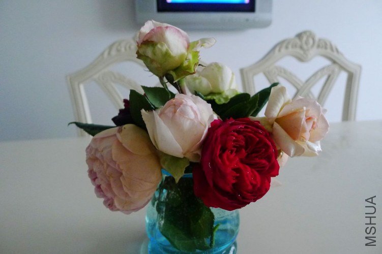 P1070773.JPG