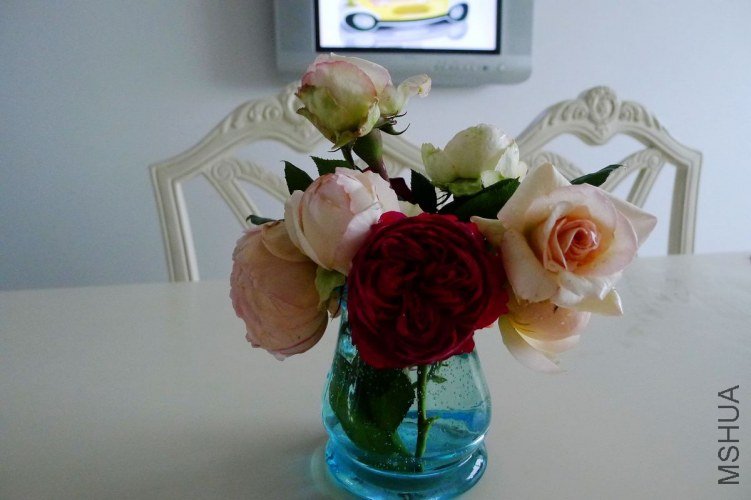 P1070778.JPG