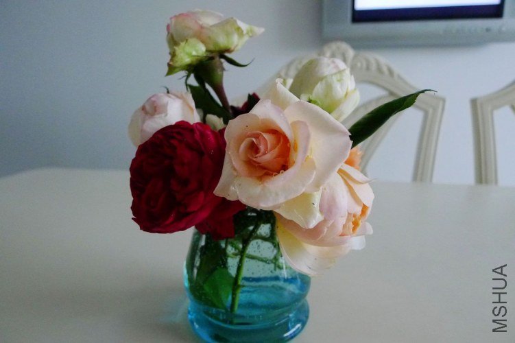 P1070779.JPG
