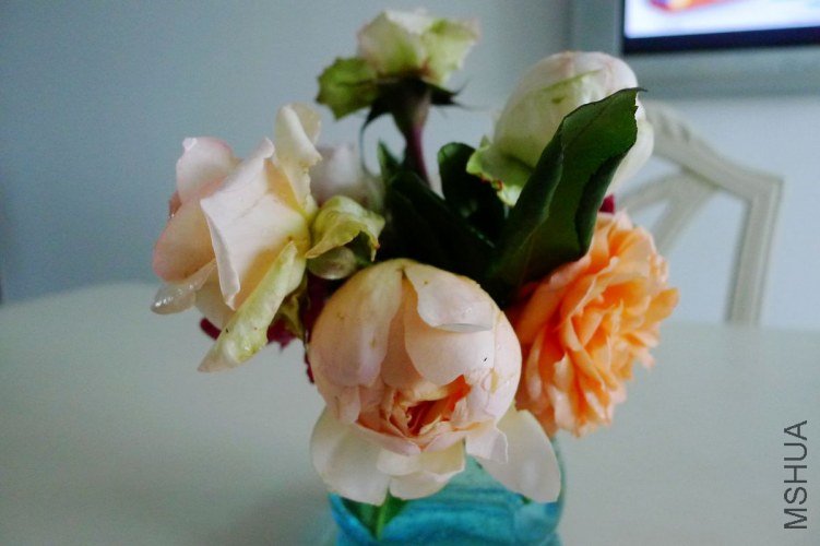 P1070785.JPG