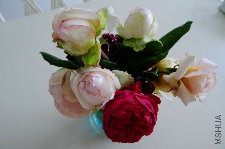 P1070789.JPG