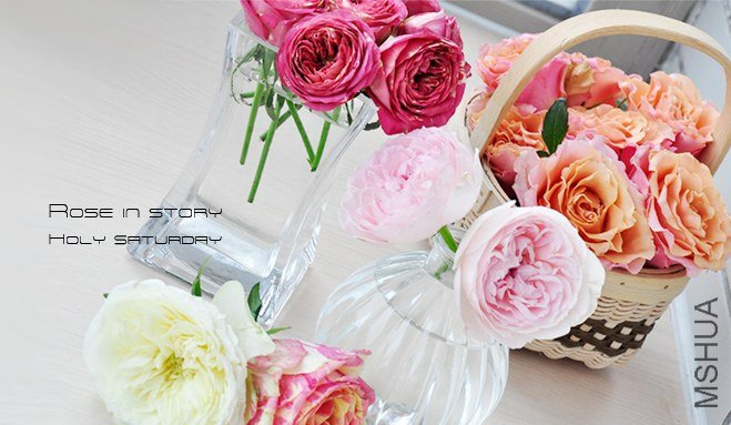 holy saturdayROSE in story.jpg