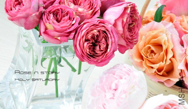 holy saturdayROSE in story1.jpg