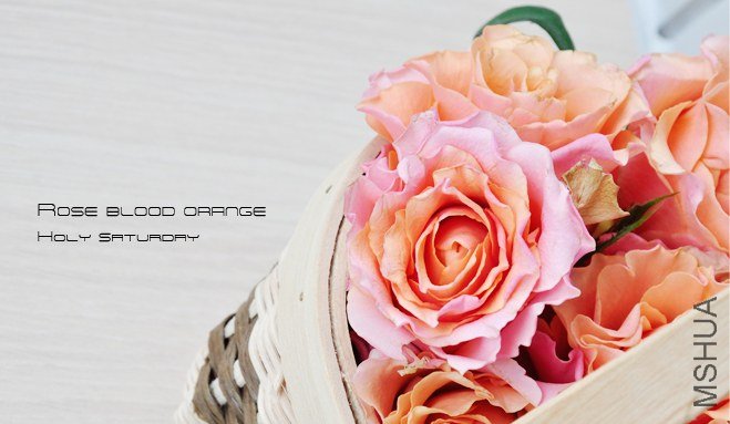 ROSE Blood orange2.jpg