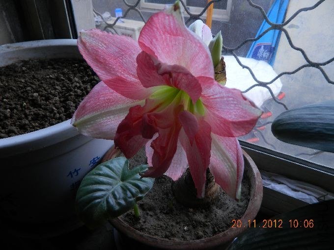 s680_DSCN0753.jpg