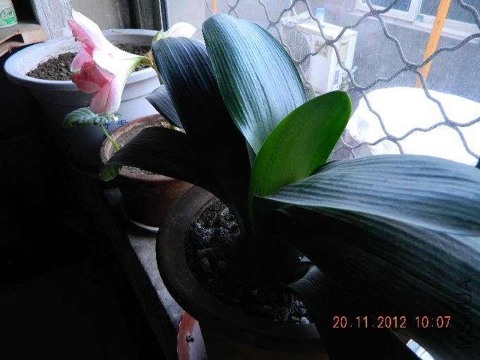 s680_DSCN0756.jpg