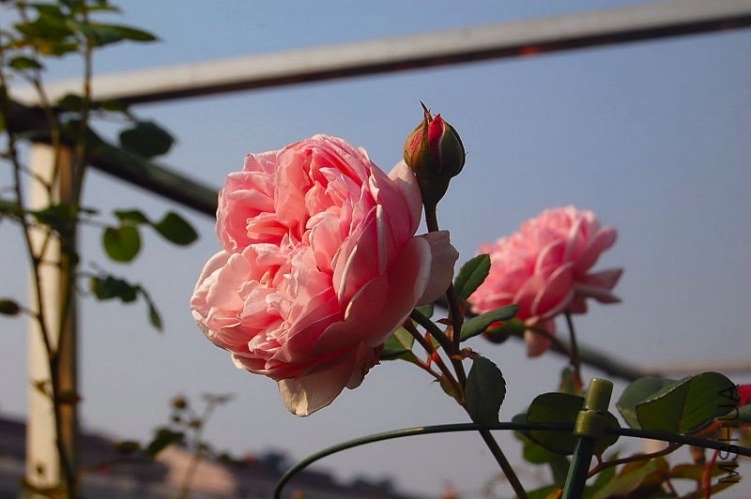 DSC_00150015.JPG
