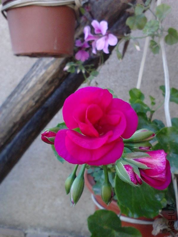 IMG_20121023_100225.jpg