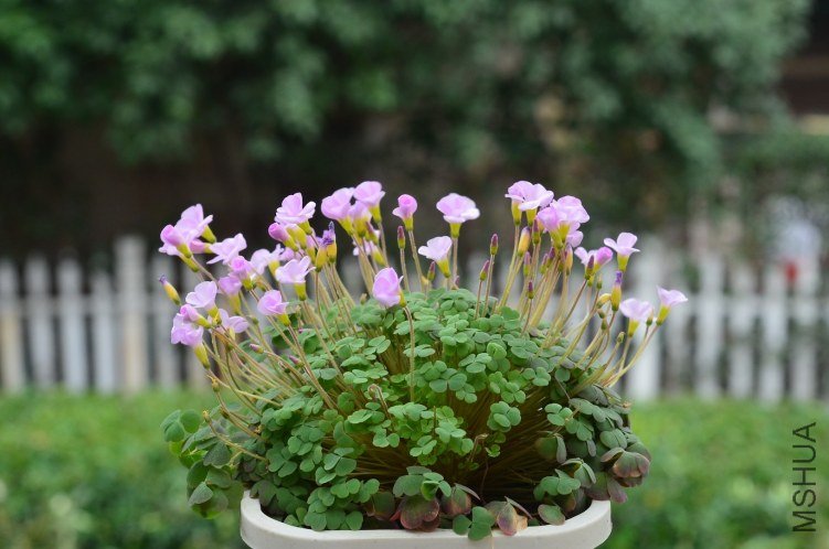 ����20121103 001.JPG