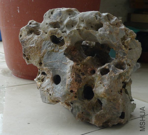 2012-11-22 ���� 12-20-56.jpg