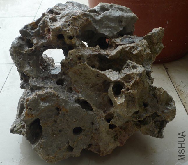 2012-11-22 ���� 12-23-16.jpg