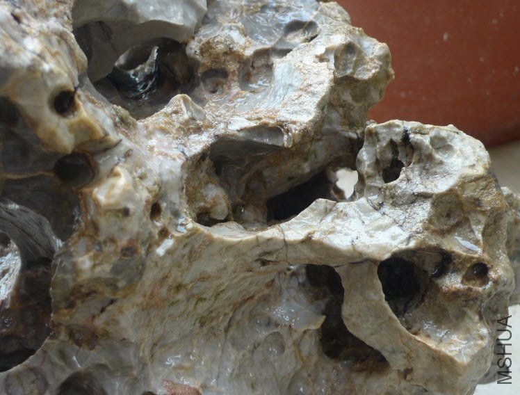 2012-11-22 ���� 12-25-34.jpg