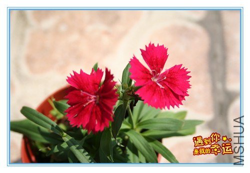 ��Ƭ 067_����.jpg