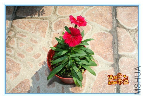 ��Ƭ 066_����.jpg