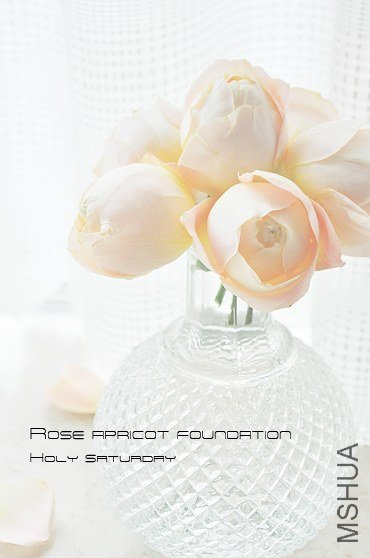 ROSE Apricot foundation.jpg