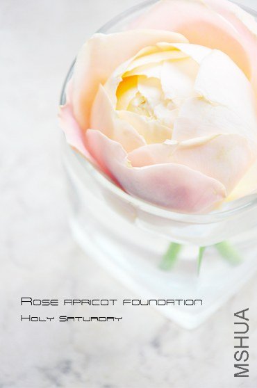 ROSE Apricot foundation1.jpg